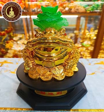 Cóc Cải Xi Vàng Đế Xoay