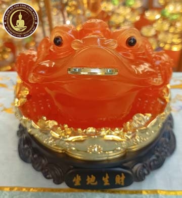 Cóc Đỏ Đế Xoay