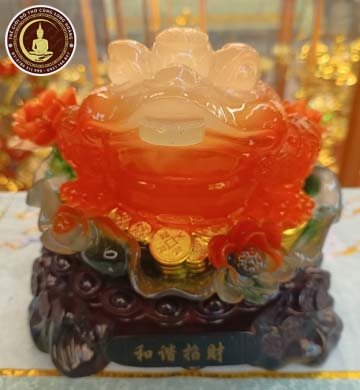 Cóc Cam Đế Xoay