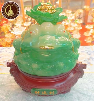 Cóc Cải Xanh Đế Gỗ Xoay
