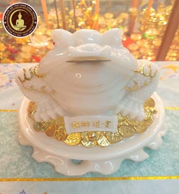 Cóc Đá Trắng