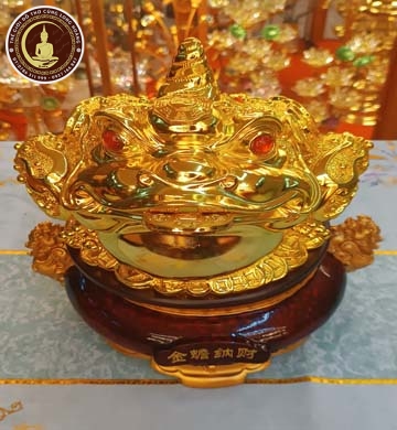 Cóc Vàng ĐẾ Xoay