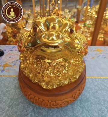 Cóc Xi Vàng Đế Gỗ Xoay